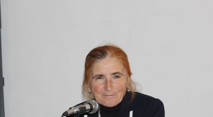 МАСОИЛИ НАЗАРӢ ВА АМАЛИИ ЛУҒАТШИНОСИИ ТОҶИК ДАР ПАЖУҲИШИ ҲУСНИГУЛ ТАЛБАКОВА